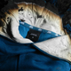 Image for article titled These are the clothing labels left behind in the Bangladesh factory fire that killed 112 workers